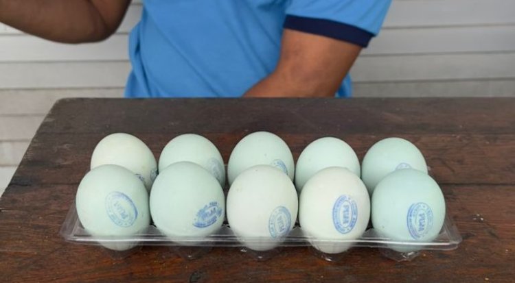 Harga Murah Rp2.500 saja per Butir! Telur Asin PUJA Milik Bapak Taufiq Jadi Unggulan UMKM Losari