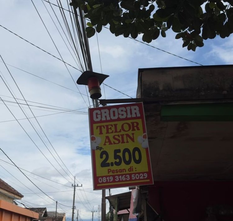 Harga Murah Rp2.500 saja per Butir! Telur Asin PUJA Milik Bapak Taufiq Jadi Unggulan UMKM Losari