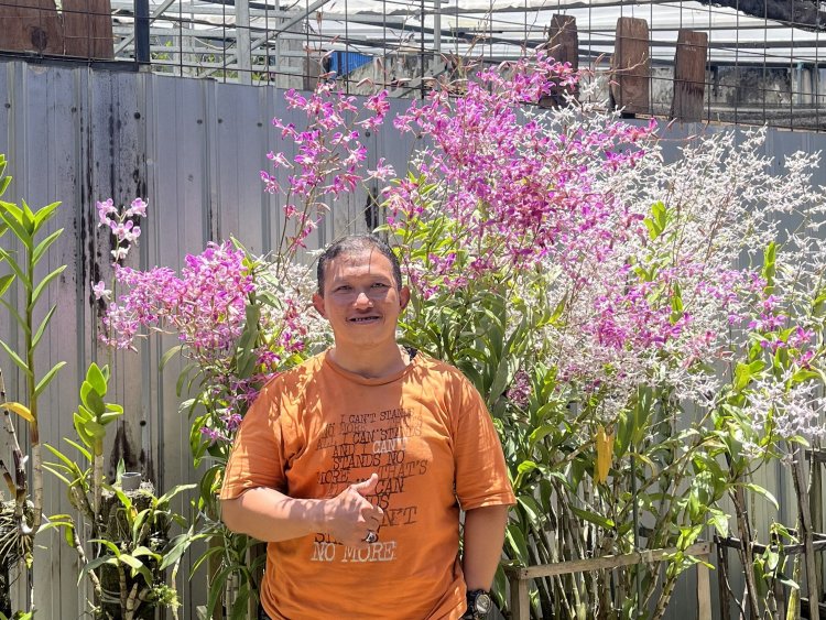 Inspiratif! Mantan Pegawai Bank Bangun UMKM Anggrek dari Hobi