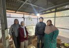 Dari Hobi ke Bisnis Bernilai Tinggi: Aline Bird Farm Malang Kembangkan Budidaya Lovebird Berkualitas