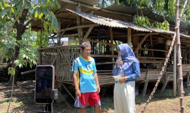 Tekuni Ternak Sejak Lama, Peternak Gibas Losari Bagikan Pengalaman Lewat Podcast