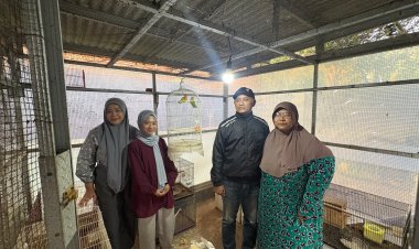 Dari Hobi ke Bisnis Bernilai Tinggi: Aline Bird Farm Malang Kembangkan Budidaya Lovebird Berkualitas
