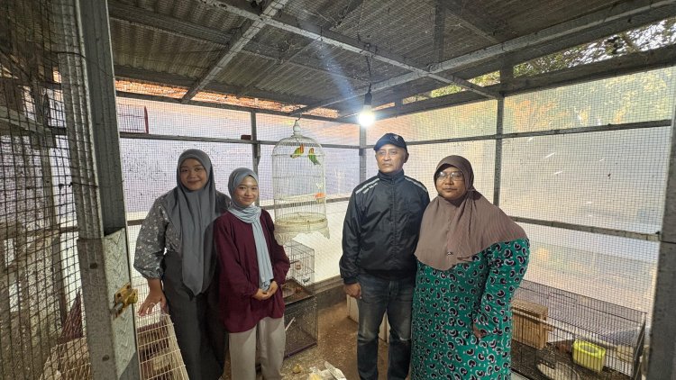 Dari Hobi ke Bisnis Bernilai Tinggi: Aline Bird Farm Malang Kembangkan Budidaya Lovebird Berkualitas